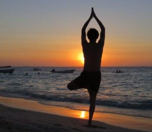 Yoga Baum – Stabilität und Harmonisierung