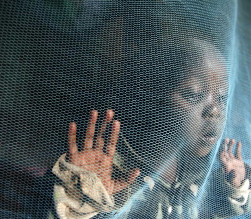 WHO für stärkeren Einsatz gegen Malaria in Afrika
