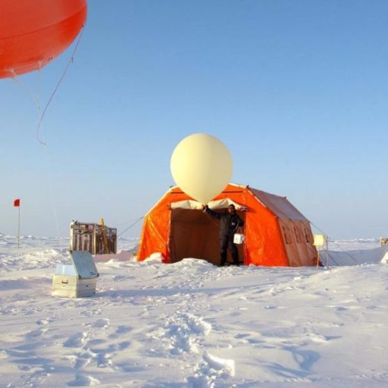 Arktis & Antarktis: 50 Institute arbeiten zusammen