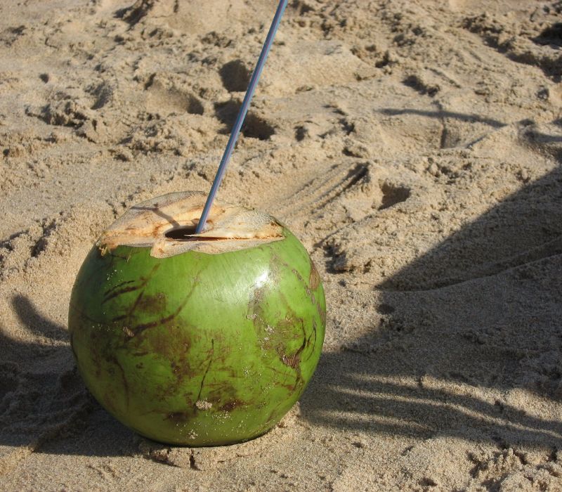 Kokoswasser – das schmeckt nach Sommer