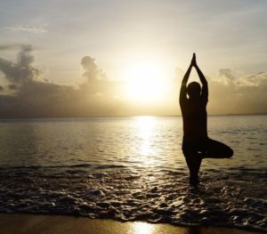 Yoga Baum – Bleib standhaft!