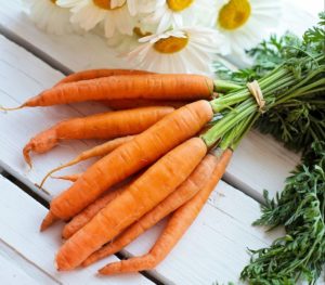 Von der Pflanze bis zur Wurzel gesund: Karotten
